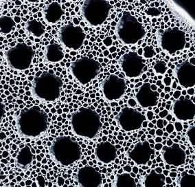 Carbon kích hoạt kết tụ